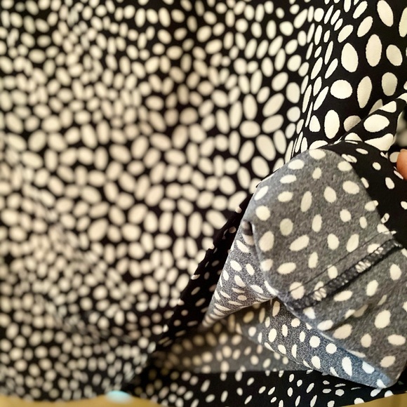 Ann Taylor Polkadot Blouse, Size 0 - Picture 5 of 7